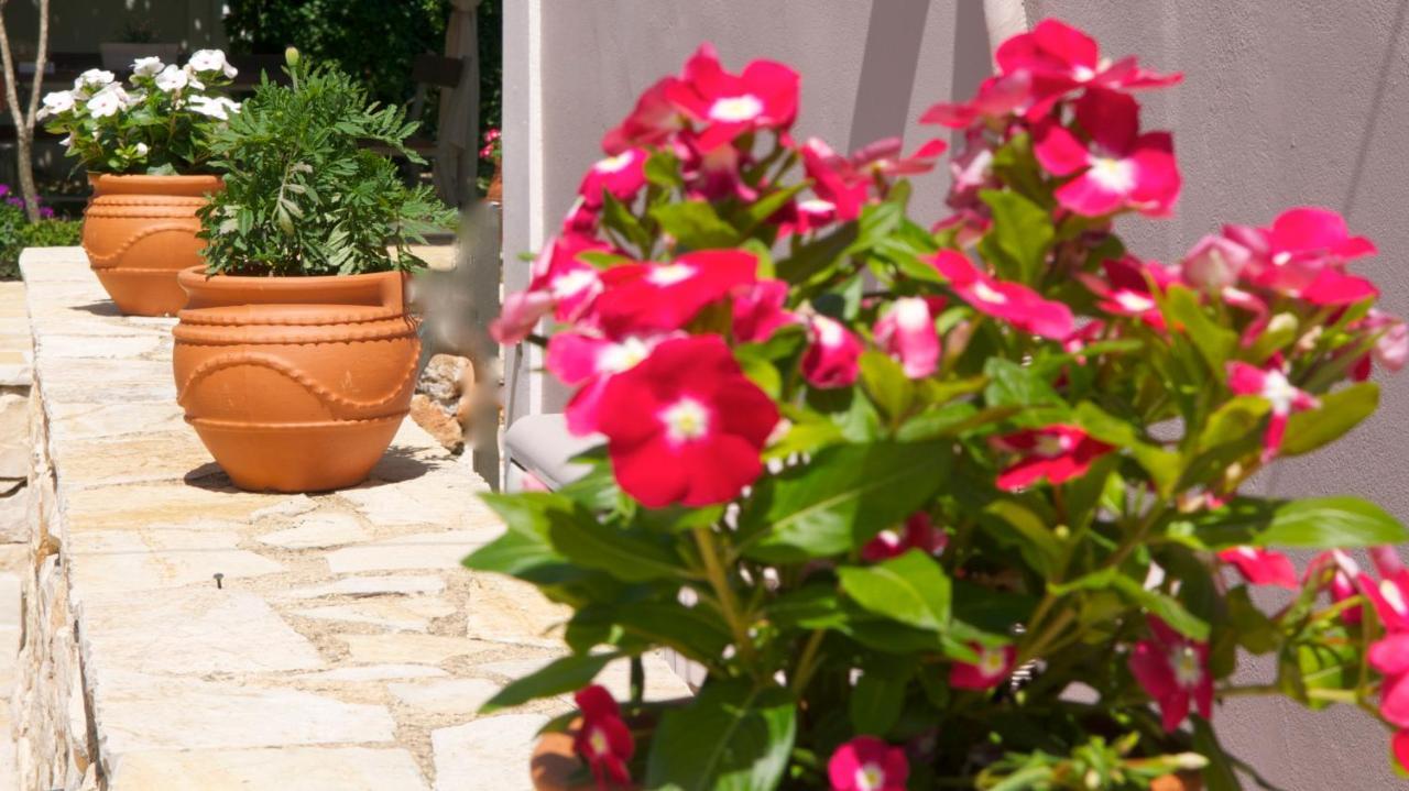 Apartment Domenica Apts I Laganas